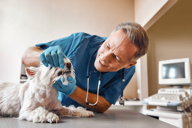 Best Emergency Dentist for Special Needs Patients in Robins Af, GA